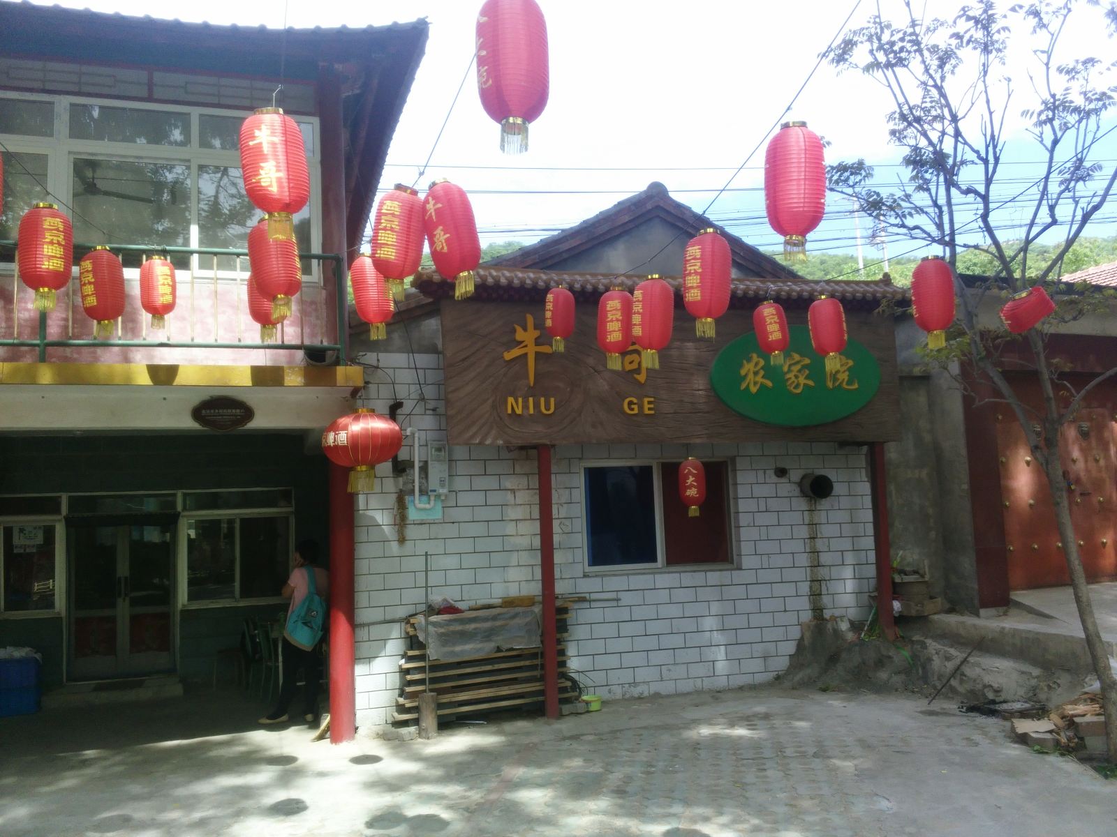外观