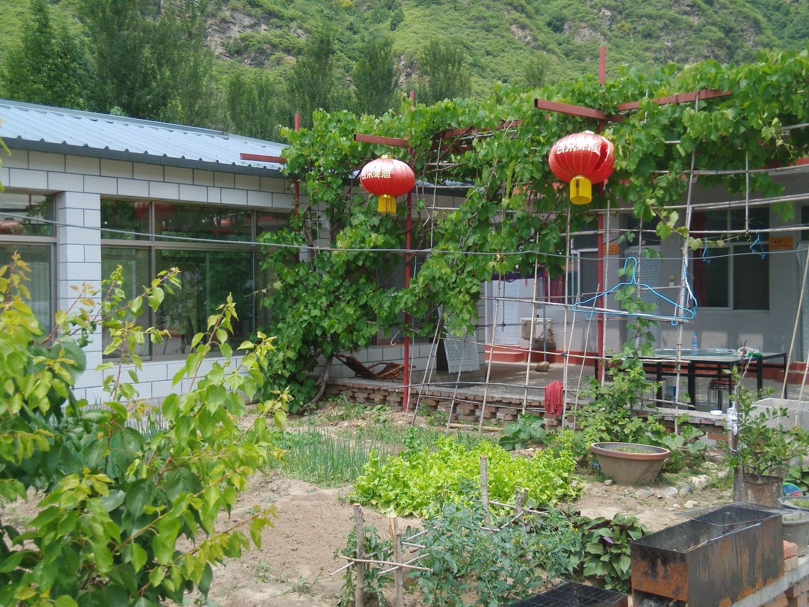 公共区域