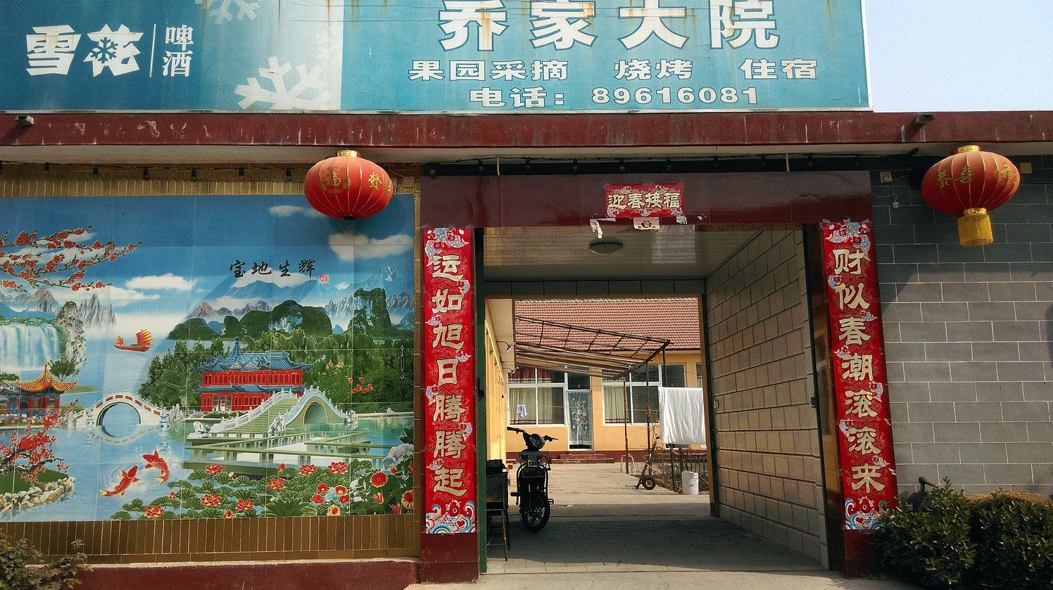 外观
