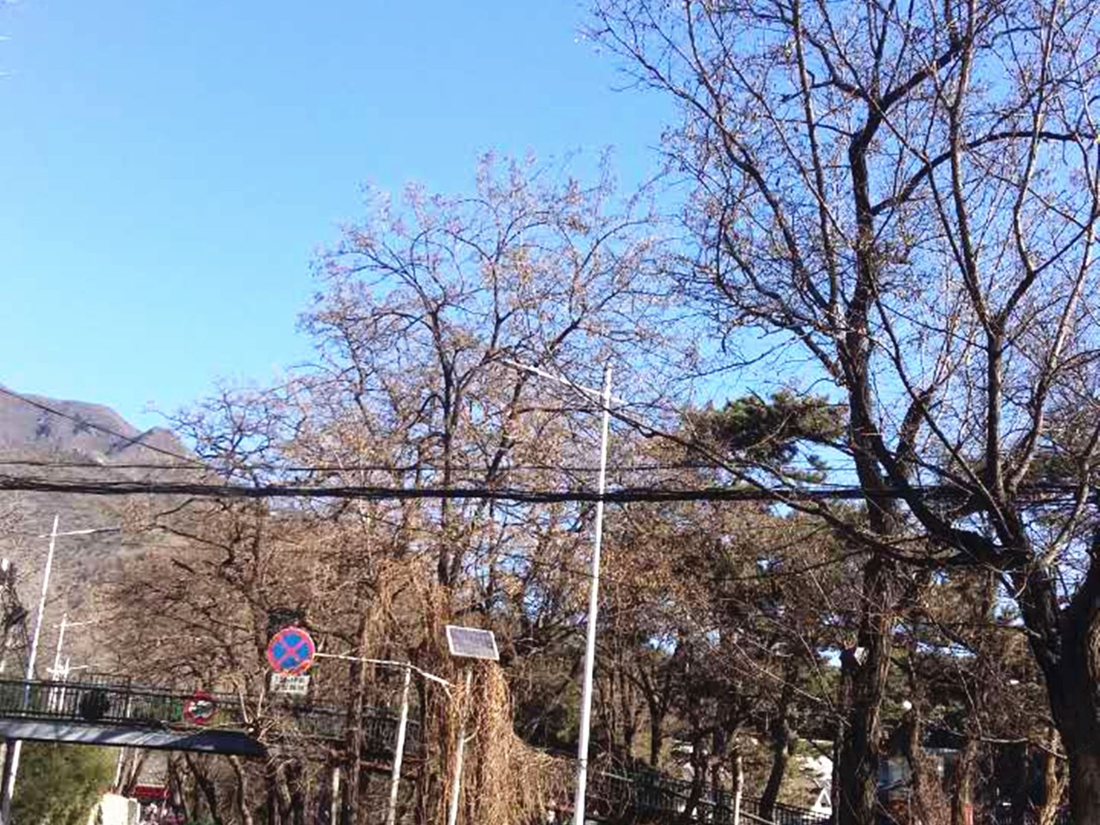 北京红螺寺丽泽山庄