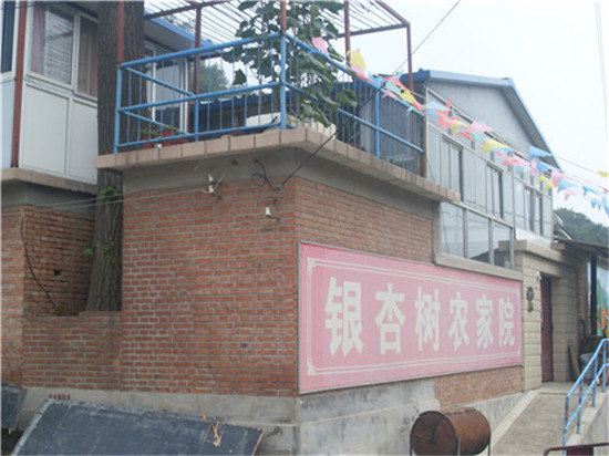 北京银山塔林银杏树农家院