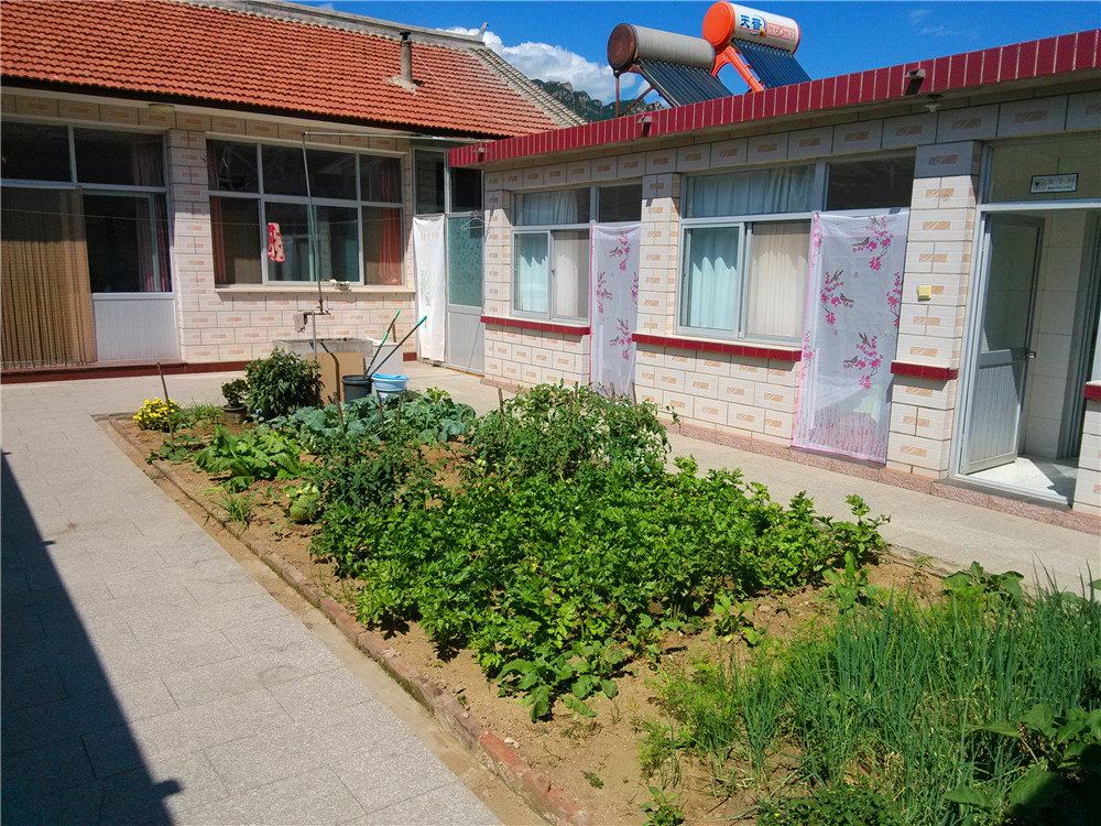 北京白桦林彭文全农家院