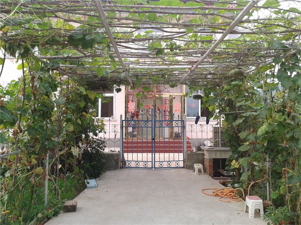 北京金海湖张春革农家院