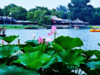 北京旅游價格多少_北京跟團游與自由行_北京旅游團報價