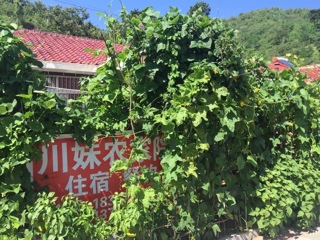 北京川妹农家院