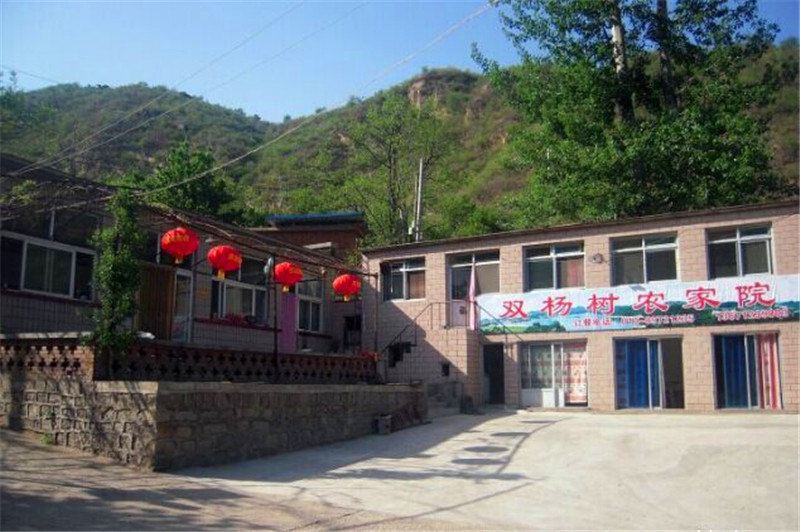 北京双杨树农家院