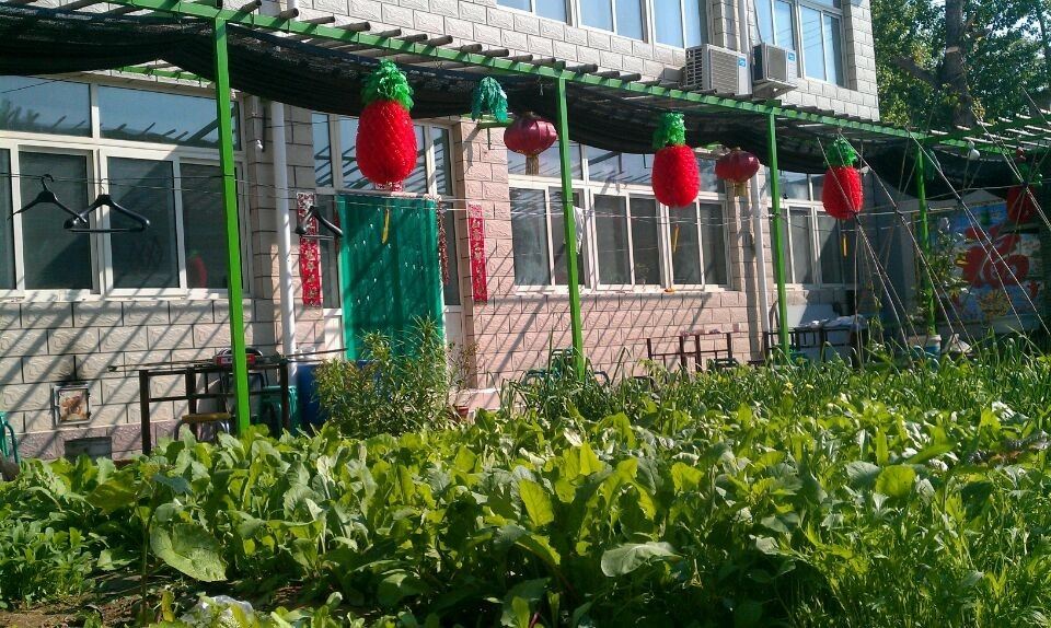 北京湿地公园绿墅缘农家院