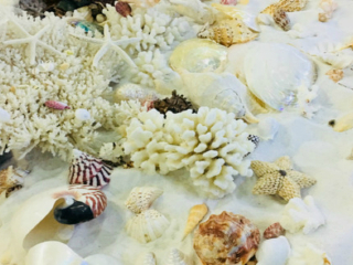 廣西南寧德天大瀑布旅游大約多少錢(qián)_廣西南寧德天大瀑布旅游團(tuán)_東莞到廣西南寧德天大瀑布游
