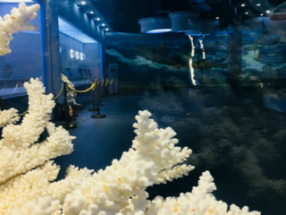 廣西南寧德天大瀑布旅游大約多少錢(qián)_廣西南寧德天大瀑布旅游團(tuán)_東莞到廣西南寧德天大瀑布游