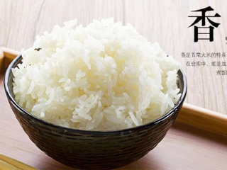 去哈尔滨6日游_哈尔滨7日旅游报价_去哈尔滨跟团游价格