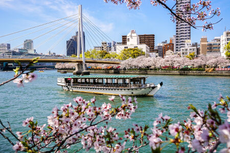 <日本大阪-京都-箱根-东京7日游>纯玩6人小团，北京直飞，东京大阪各1天自由且2晚市区酒店连住，畅游岚山(寻找小火车)，夜游古都京都（含住宿）