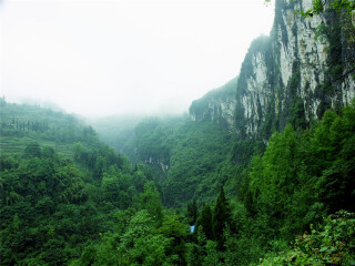 重慶游組團(tuán)_重慶游 旅行團(tuán)_去重慶旅游