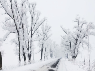 怎么去亞布力雪鄉(xiāng)旅游_亞布力雪鄉(xiāng)自由行旅游團(tuán)_旅行團(tuán)亞布力雪鄉(xiāng)游