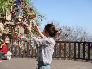 跟團(tuán)大連旅游價(jià)格表_報(bào)團(tuán)去大連多少錢_大連旅游多少錢一個(gè)人