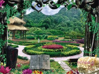 去南宁-德天旅游网_南宁-德天旅游10日游_南宁-德天的旅行