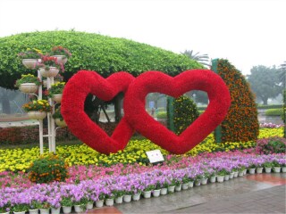 去南宁-德天旅游网_南宁-德天旅游10日游_南宁-德天的旅行