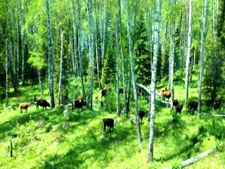 新疆旅游要多少錢跟團(tuán)_新疆旅行跟團(tuán)_新疆旅行團(tuán)旅游報價