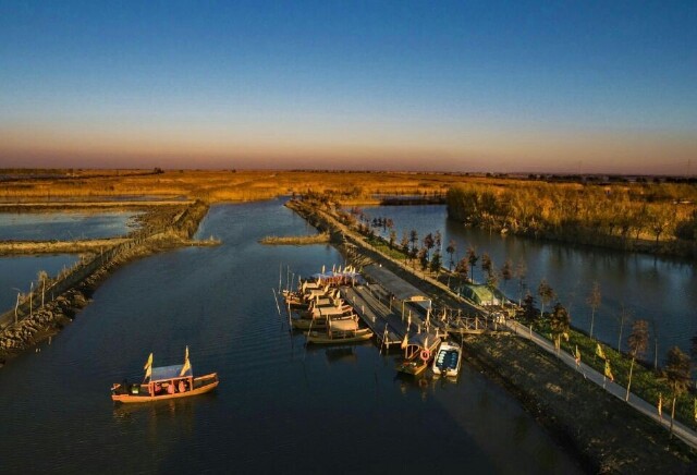 到高邮湖芦苇荡湿地公园 感受绝美的原生态美景