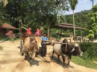 普吉岛会议旅游_普吉岛跟团游与自由行_去普吉岛6日游