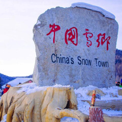 活动模块 