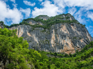 过年去武汉旅游_武汉旅游多少钱跟团_到武汉旅游跟团报价