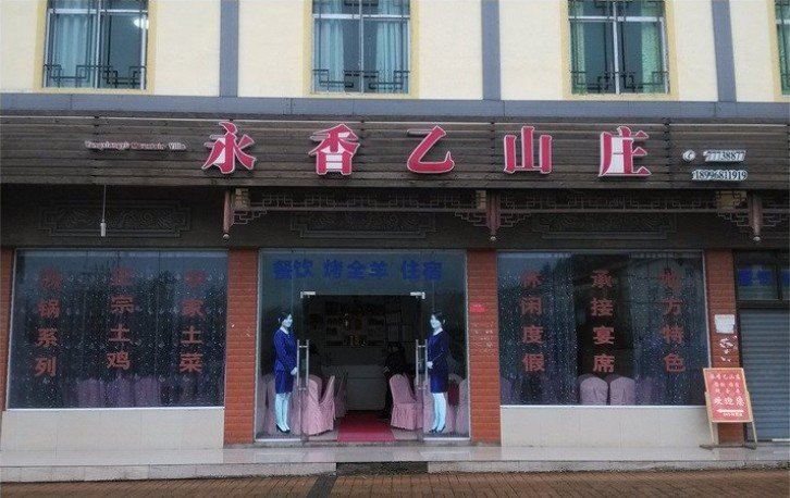 外观