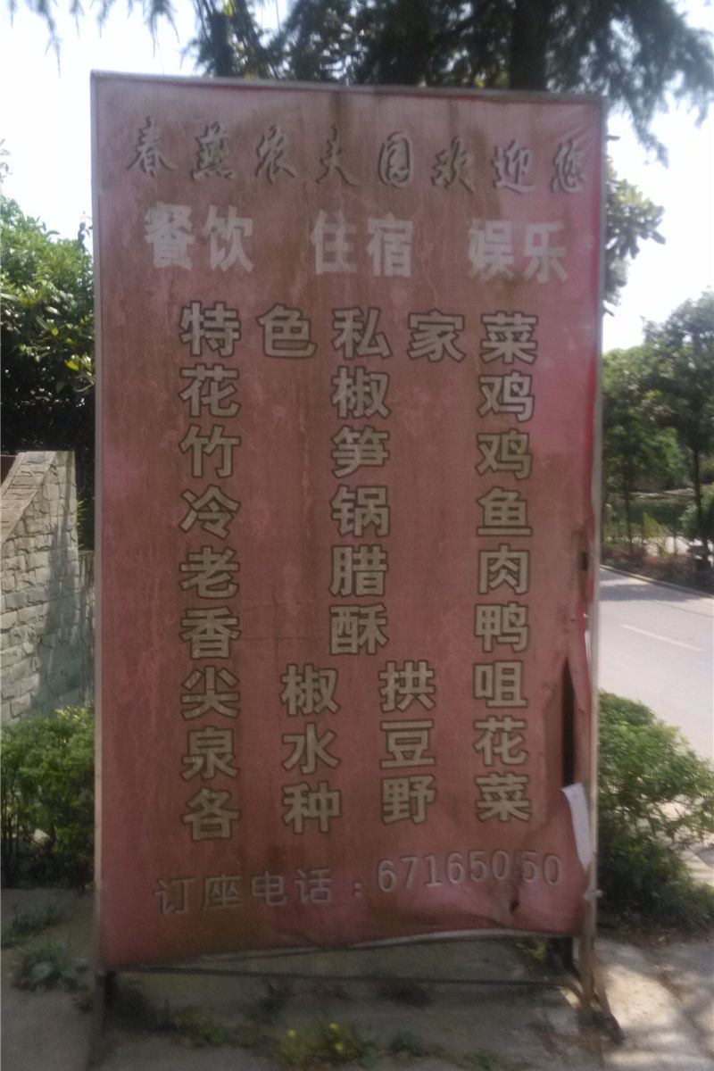 外观