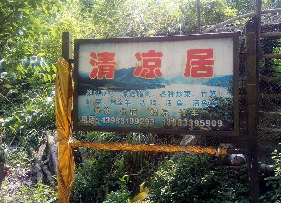 其他