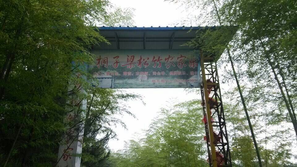 开县桐子梁松竹农家乐
