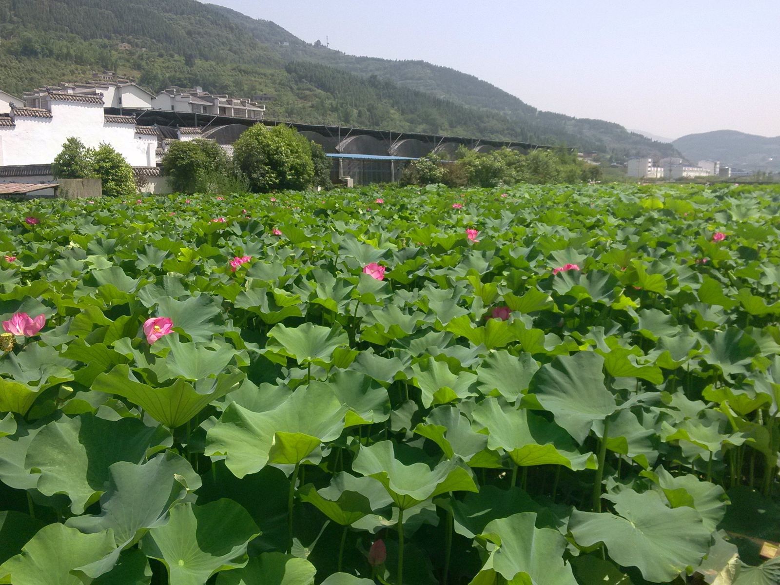 公共区域