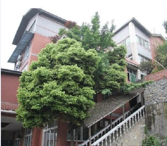 武隆风沙渡山庄
