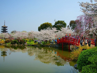 武汉旅游五日游_武汉旅行网_武汉跟团游线路