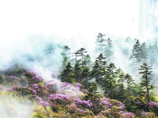 去恩施大峡谷-神农架-大九湖-武当山旅游包团_恩施大峡谷-神农架-大九湖-武当山国际旅行_深圳出发游恩施大峡谷-神农架-大九湖-武当山