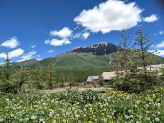 春节新疆游价格_新疆9日游跟团费用_新疆双人旅游价格