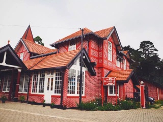 斯里蘭卡跟團還是自由行_斯里蘭卡旅游跟團需多少錢_組團去斯里蘭卡