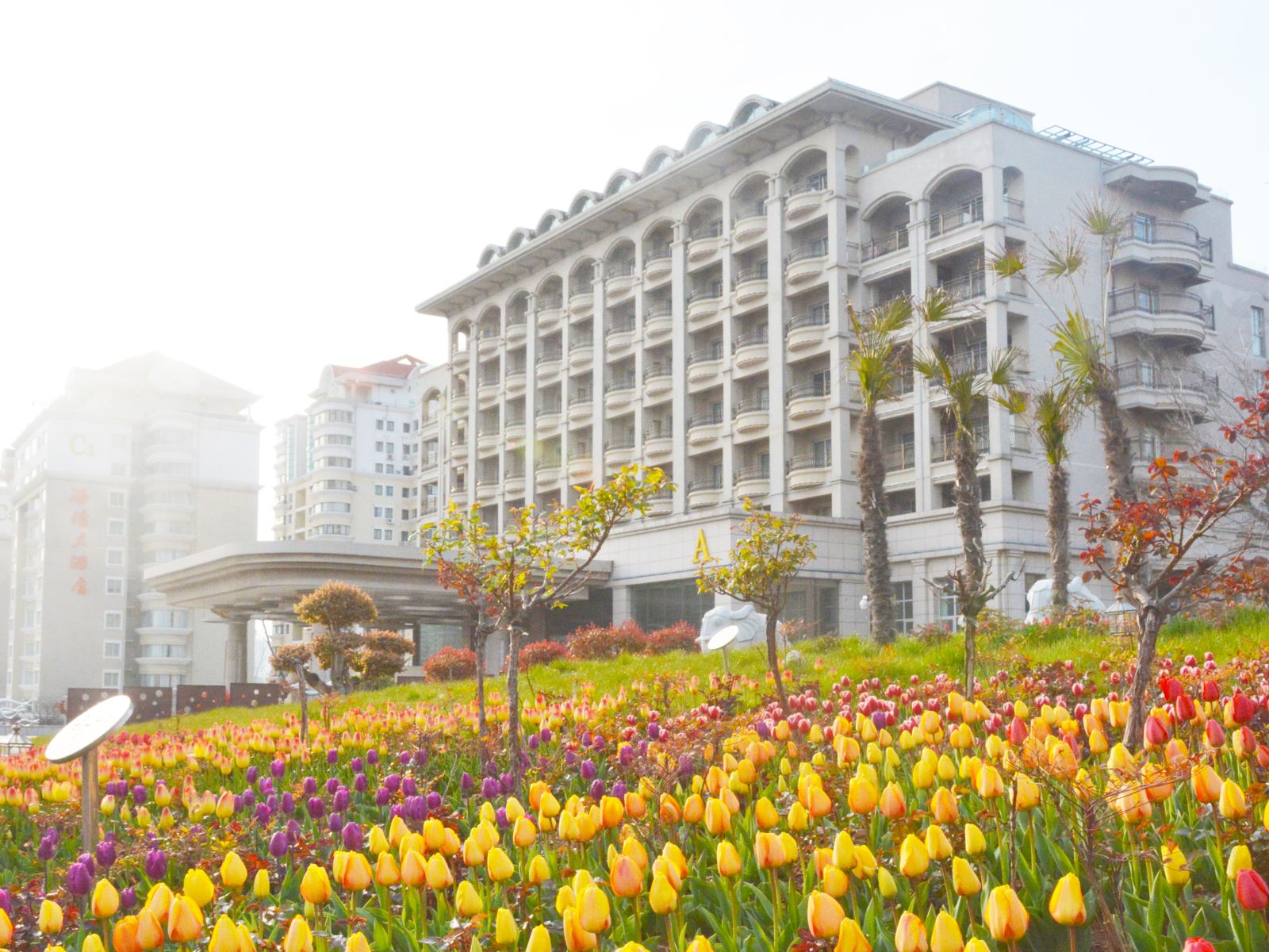 青岛海情大酒店