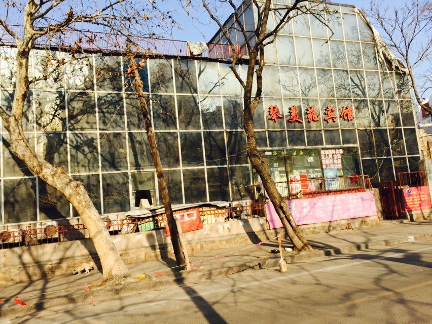 青岛琴美苑宾馆