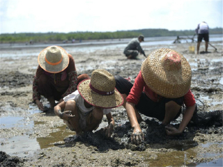 越南下龍灣旅游跟團多少錢_越南下龍灣旅游需要多少錢_越南下龍灣最佳旅游路線