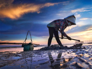 越南下龍灣旅游跟團多少錢_越南下龍灣旅游需要多少錢_越南下龍灣最佳旅游路線