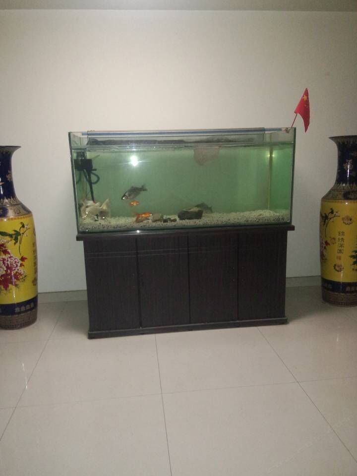 西安洋洋家庭公寓