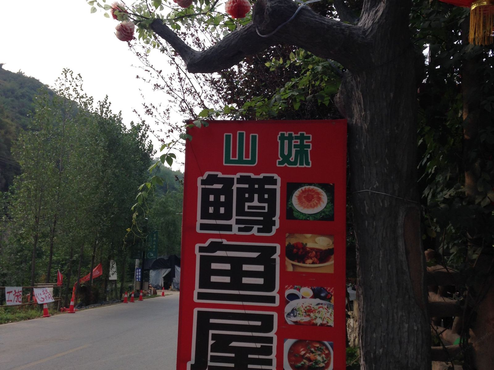 西安翠华山山妹农家乐