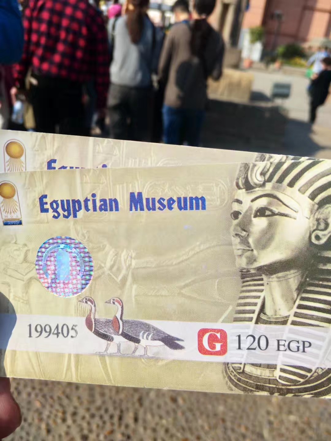 准备埃及自由行,6人。近期貌似有不安全事件,