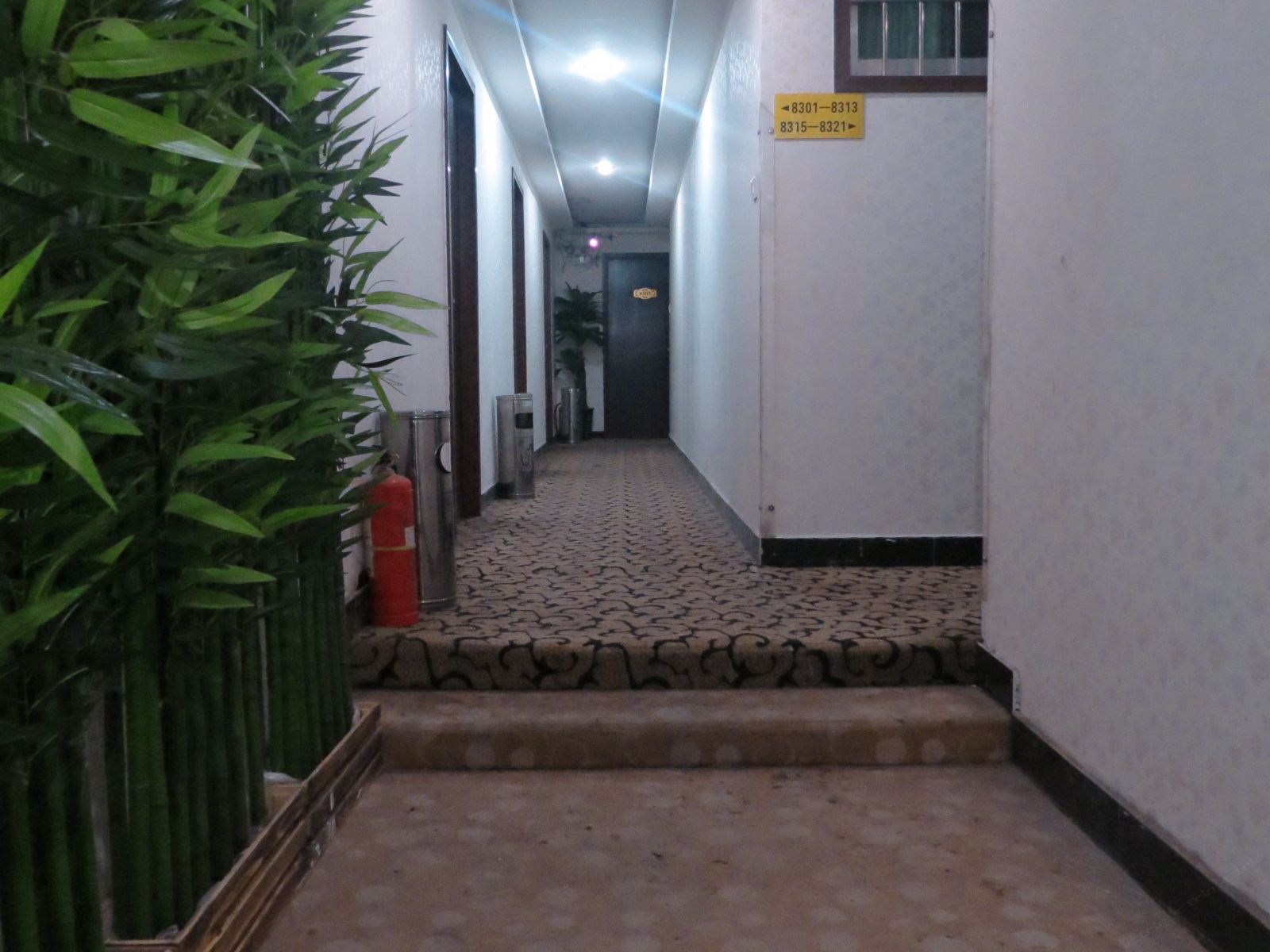 公共区域