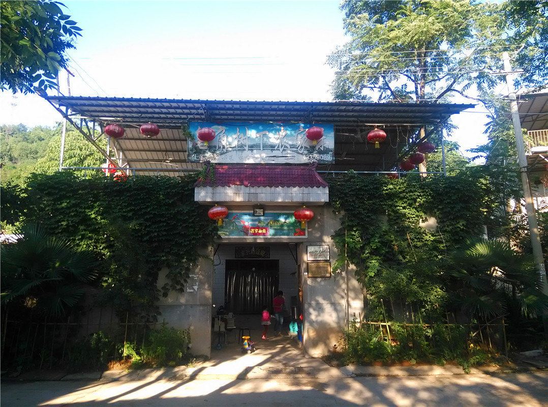 西安皂角树下农家乐
