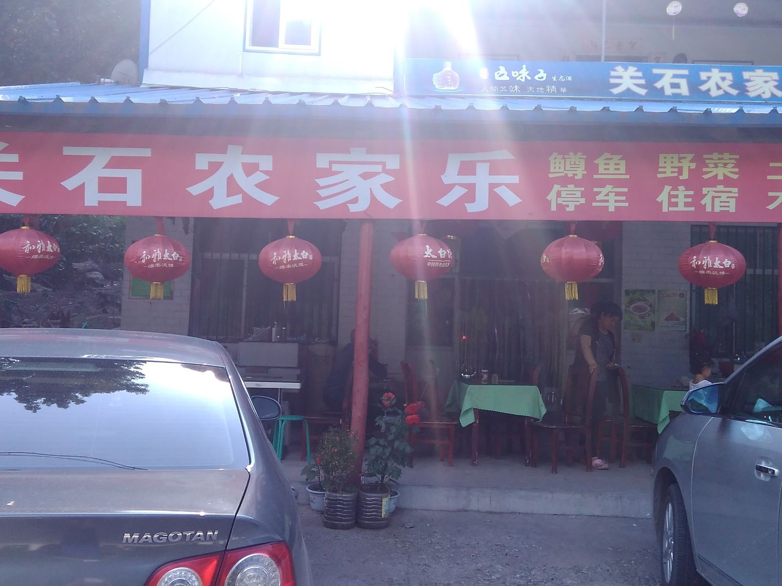 外观