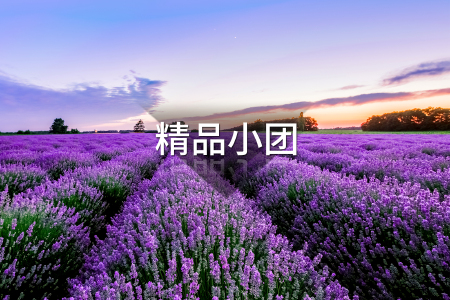 <法国薰衣草4晚5日游>6至8人小团/高铁往返/普罗旺斯薰衣草/蔚蓝海岸出海巡游/南法小镇/阿维尼翁戏剧节/埃兹小镇尼斯戛纳（当地游）