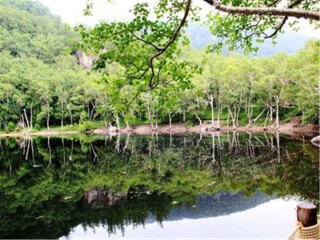 東北長(zhǎng)白山旅游花多少錢_東北長(zhǎng)白山旅游價(jià)格多少_東北長(zhǎng)白山旅游一次多少錢