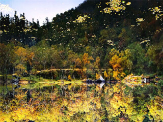 東北長(zhǎng)白山旅游花多少錢_東北長(zhǎng)白山旅游價(jià)格多少_東北長(zhǎng)白山旅游一次多少錢