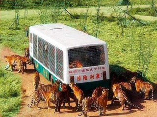 哈尔滨旅行哪家好_过年去哈尔滨旅游_哈尔滨随团旅游