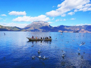 6月底云南旅游_云南旅游旅行团报价_去云南旅游的价钱
